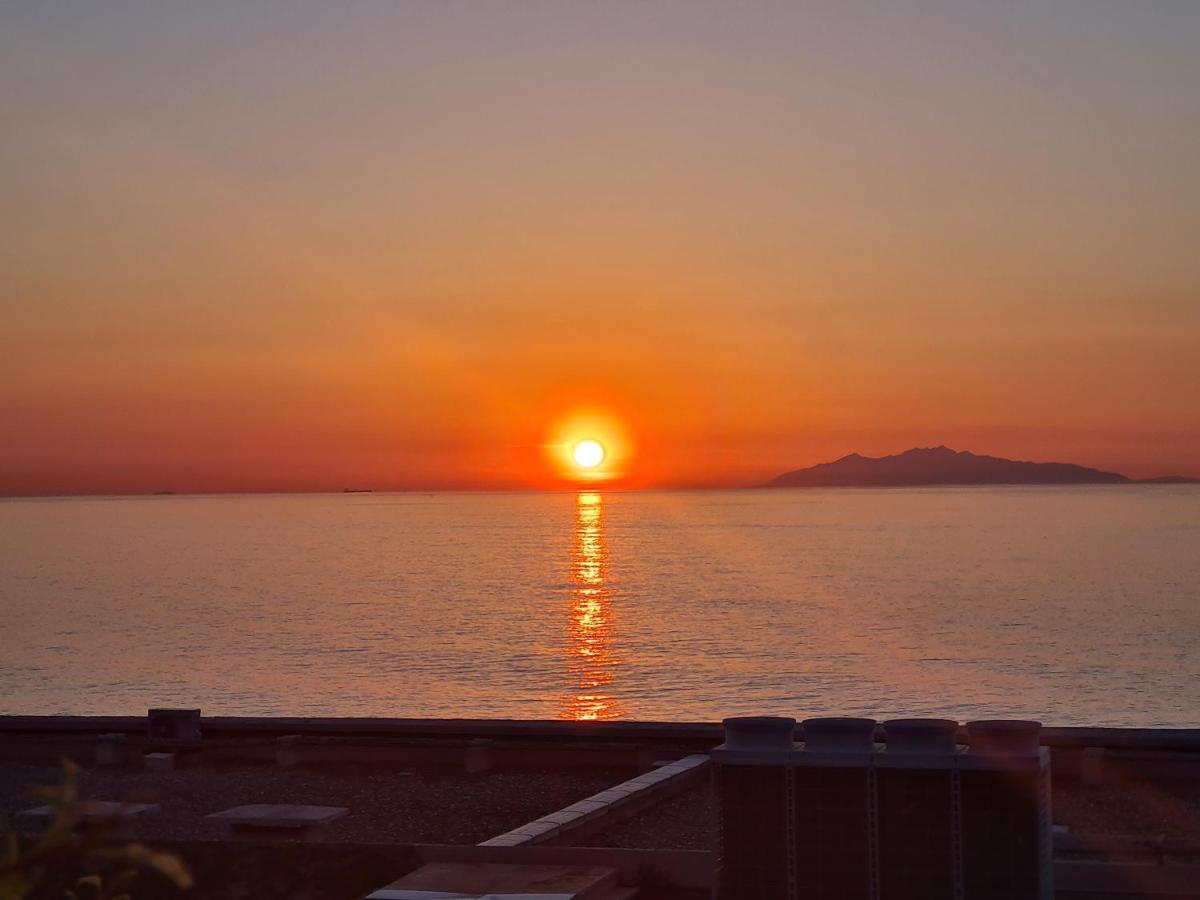 Corse, Residence Marina Di Bravone, Acces Direct Plage Linguizzetta Zewnętrze zdjęcie